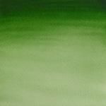 Hooker's Green Light